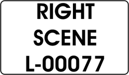 RIGHT / SCENE
